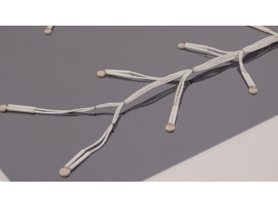 瑞樂半導體：TC Wafer，重塑半導體制造的溫度管理新標準