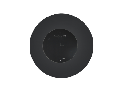 AVS 晶圓型振動(dòng)量測(cè)片