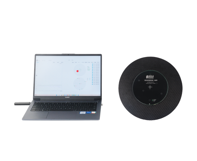 AMS 晶圓型多功能測試片